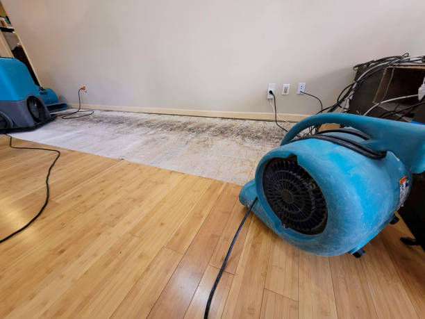 Professional Structural Drying technician working in Caseyville, IL